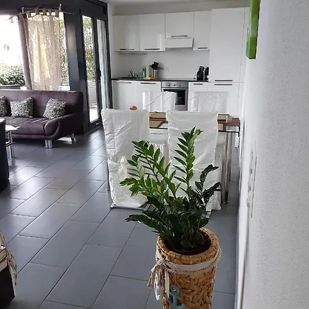 Brissago: 3.5 Zi-wohnung An Extrem Ruhiger Lage Mit Fantastischem Ausblick Brissago