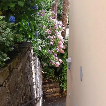 Brissago: 3.5 Zi-wohnung An Extrem Ruhiger Lage Mit Fantastischem Ausblick Brissago